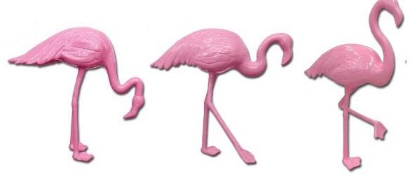 Flamant rose: existe en 3 modles